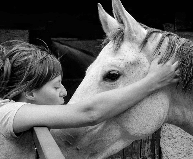 A trainer preparing a horse in the stable — illustrating the benefits of the Horsika platform